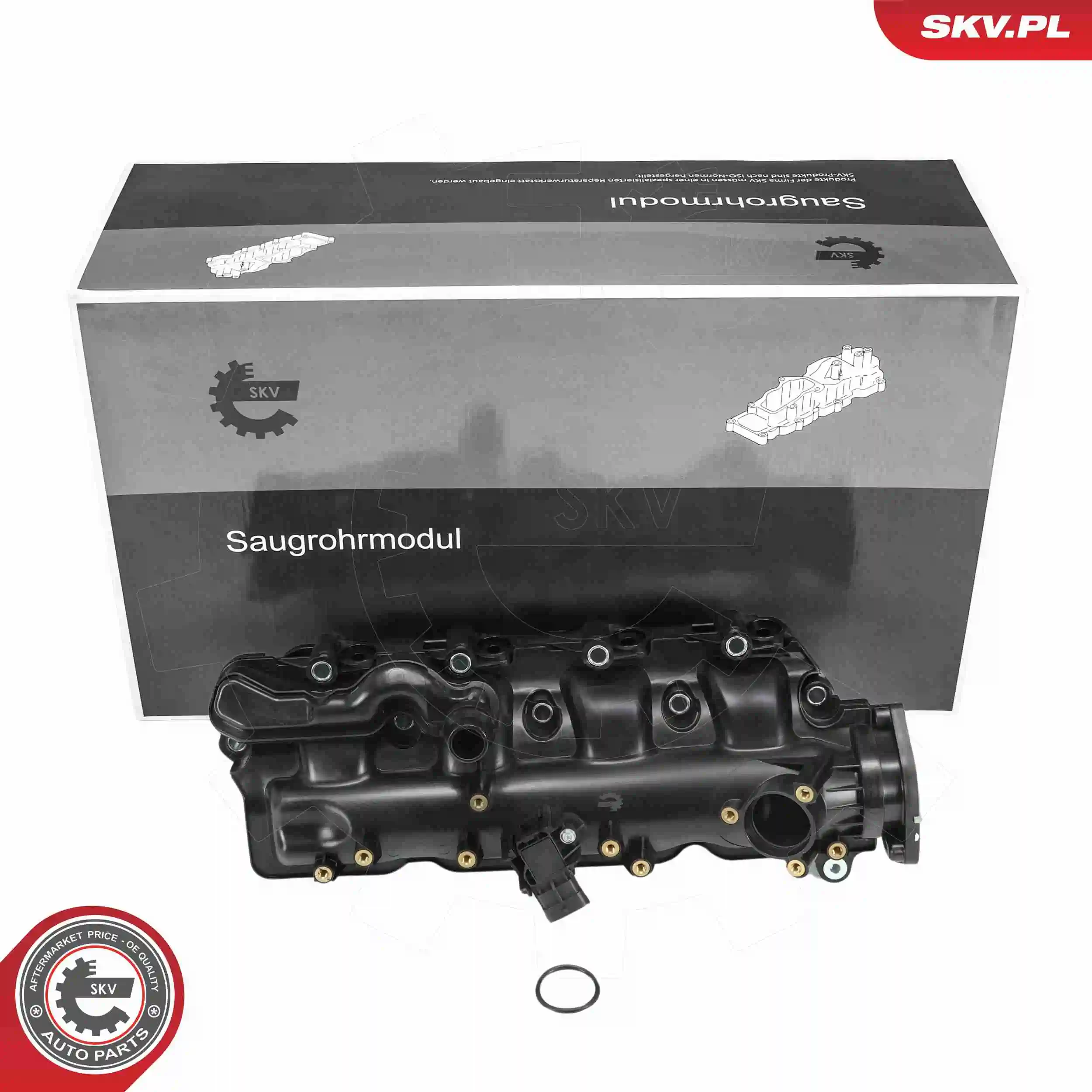 Intake Manifold Module